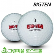빅텐 듀얼 티타늄 2피스 A급 로스트볼 16개