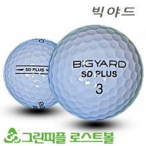 빅야드 SD 플러스 2피스 A급 로스트볼 16개