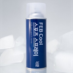 그린피플 FEB Cool 스포츠 쿨링 스프레이 대용량 420ml