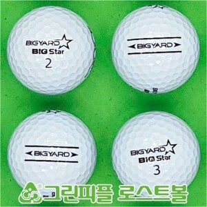 빅야드 빅스타 화이트 2피스 A+급 로스트볼 16개