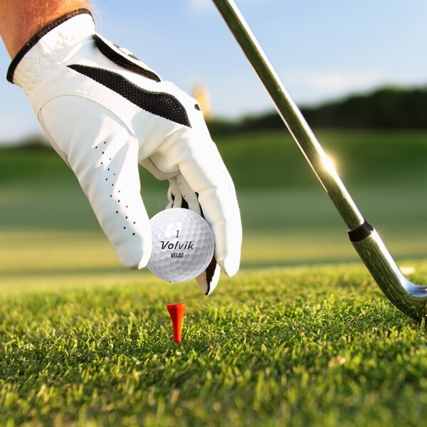 그린피플,[정품볼] 볼빅 벨로즈(VELOZ) 초저압축 고반발 골프공 3피스 1더즌(12구)