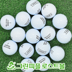 빅야드 고반발 GIANT 3피스 A+급 로스트볼 16개